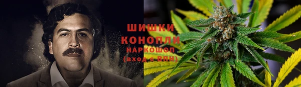трава Аркадак