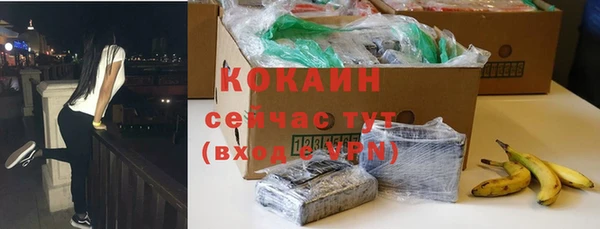 трава Аркадак