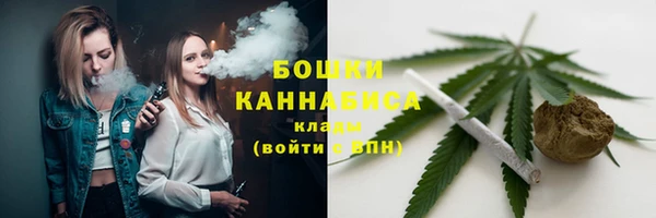 трава Аркадак