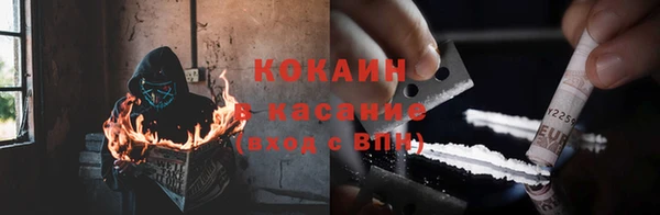 трава Аркадак