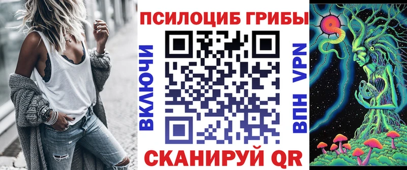 Галлюциногенные грибы Psilocybe  Полевской 